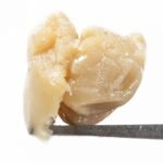 BADDER Grape and cream live resin